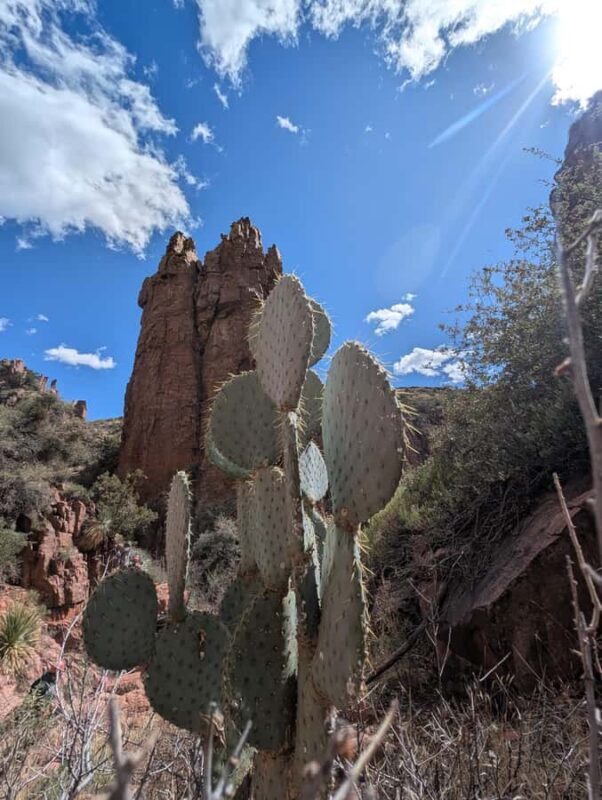 Arizona: Hog Canyon Rappelling and Rock Climbing Tour - Discovering Hog Canyon: What the Tour Entails