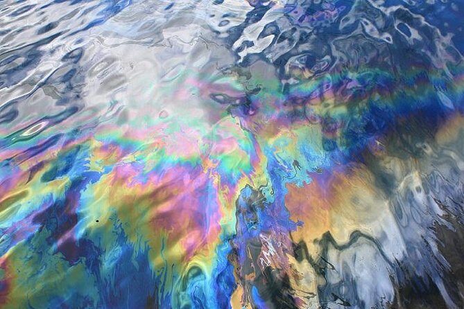 Arizona Memorial Pearl Harbor & Honolulu City Tour from Waikiki - What the Reviews Tell Us