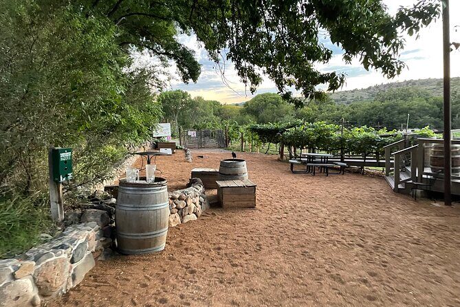 Arizona Winery All-Inclusive Tour with Lunch & Tastings - A Deep Dive into the Sedona Wine Tour Experience