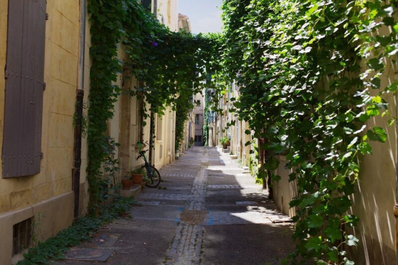 Arles: Private Guide Tour - Explore History & Culture - Detailed Breakdown of the Itinerary