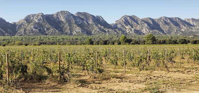 Arles, Saint-Rémy & Les Baux De Provence -7 hours - What to Expect from the Journey