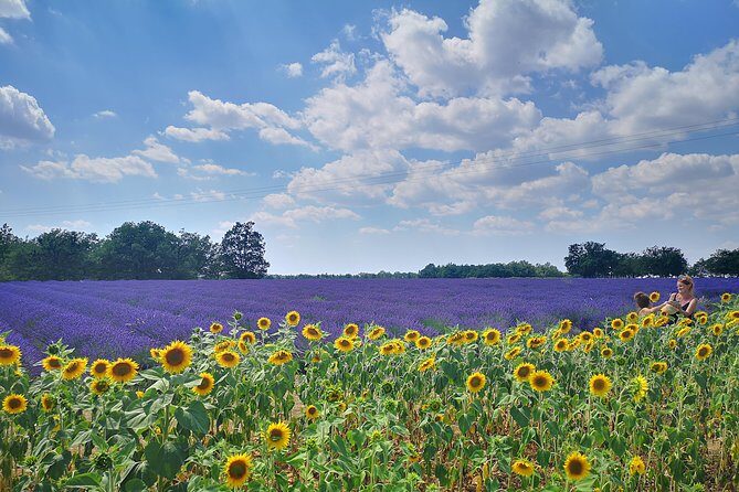 Arles Small groupe tour : Private Day Trip to Luberon Villages - In-Depth Look at the Tour Experience
