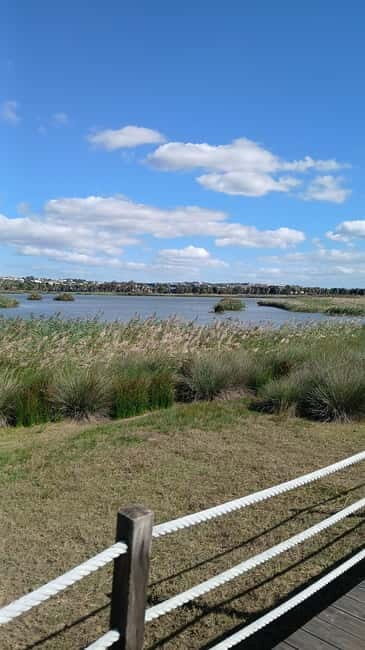 Armação de Pera: Salgados Natural Park E-Bike Tour - Who Will Appreciate This Tour?