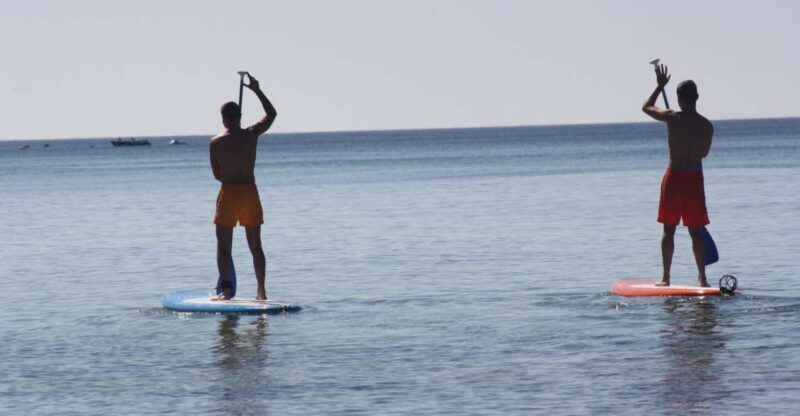 Armação de Pêra: Stand Up Paddle Hire - Key Points