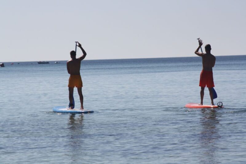 Armação de Pêra: Stand Up Paddle Hire - Final Thoughts: Why This Is a Worthwhile Choice