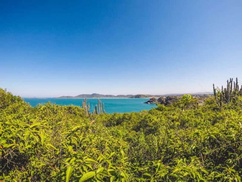 Armação dos Búzios: Walk Through the Natural Pools in Búzios - Practical Tips for Your Walk