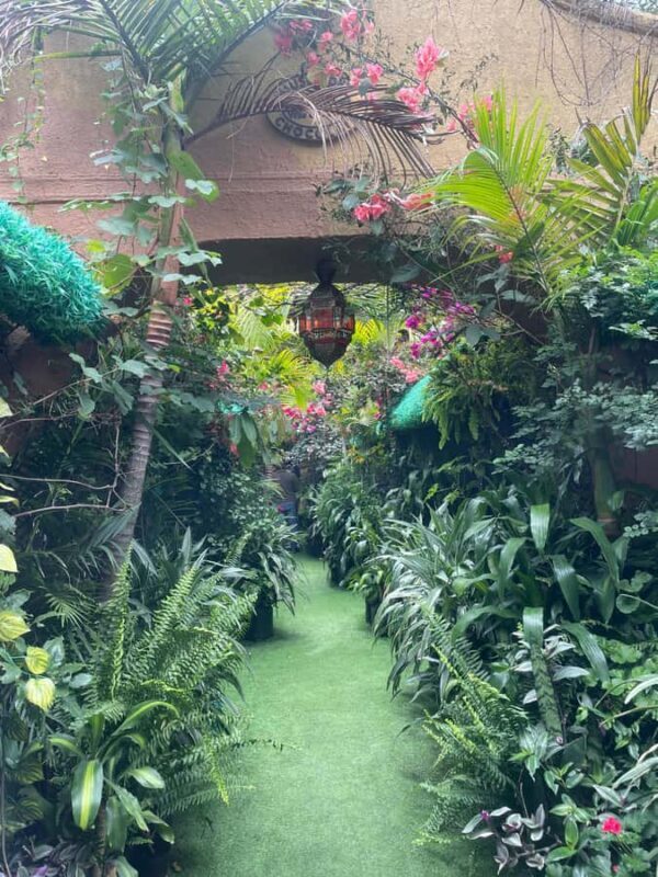 Armed Conflict and Peace Tour in Villa de leyva, Colombia - A Closer Look at the Experience