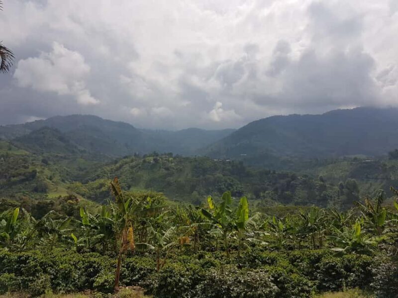 Armenia, Quindío: Traditional coffee farm tour with roasting and transportation - Key Points