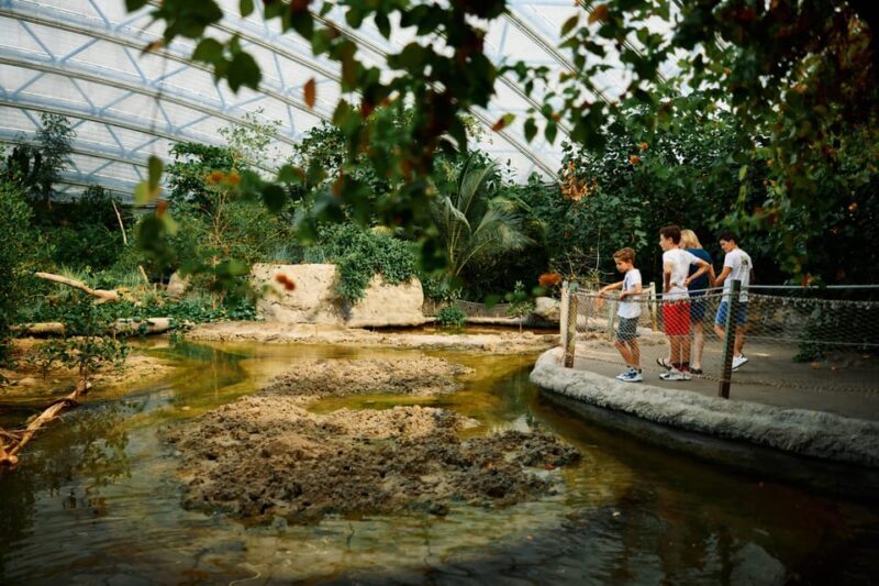 Arnhem: Burgers' Zoo Entry Ticket - The Ocean: Coral Reef and Indian Pacific Ocean