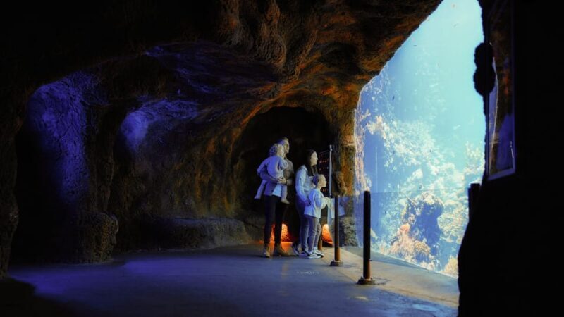 Arnhem: Burgers' Zoo Entry Ticket - The Largest Indoor Mangrove