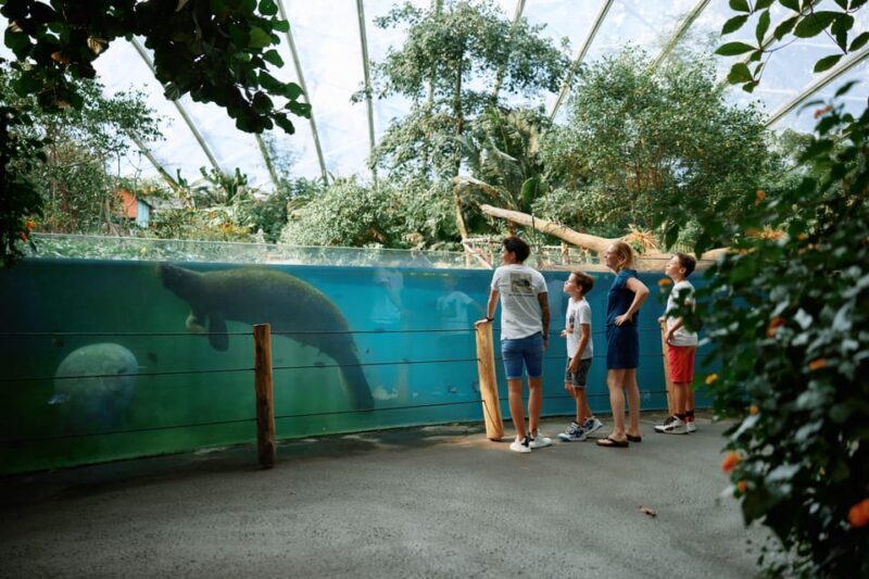 Arnhem: Burgers' Zoo Entry Ticket - Visiting Tips