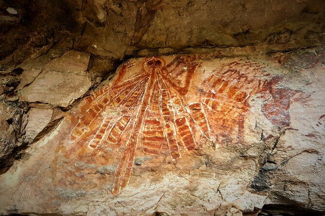 Arnhem Land Yingana Injalak Hill Full Day Tour from Jabiru - A Deep Dive into the Arnhem Land Yingana Injalak Hill Full-Day Tour