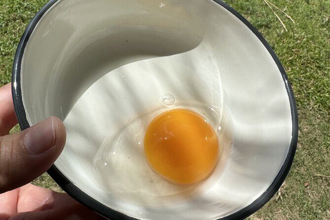 Aroidees Farm-Fresh Thai Cooking Experience - The Itinerary in Detail