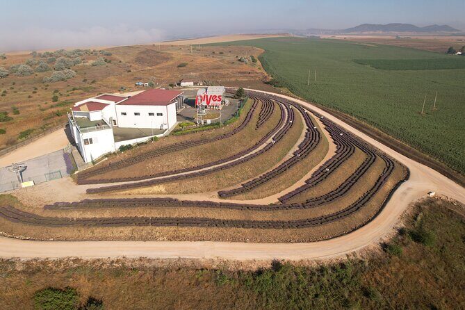 Aroma sampling of 5 Bulgarian Lavender varieties at DiVes Winery - Key Points