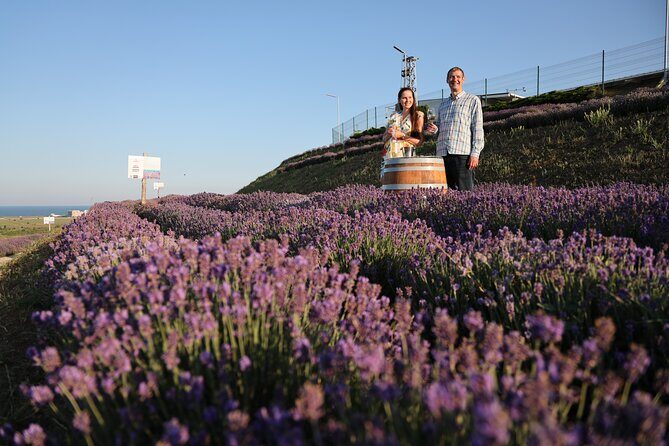 Aroma sampling of 5 Bulgarian Lavender varieties at DiVes Winery - FAQs