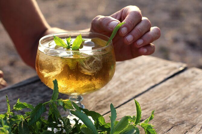 Aromatic Experience in the Medicinal Garden in Ibiza - Aromatic Experience in the Medicinal Garden in Ibiza: A Natural Journey for the Senses