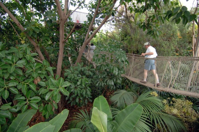 Arona: Entry Ticket to Tenerife's Jungle Park Zoo - A Detailed Look at Tenerife’s Jungle Park Experience