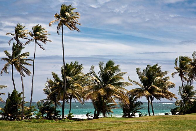 Around the Island - A Closer Look at the Tobago Island Tour