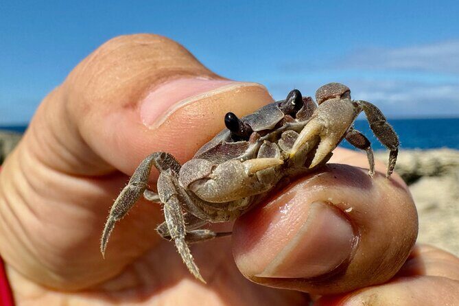 Around the Island Tour From San Juan - Final Thoughts