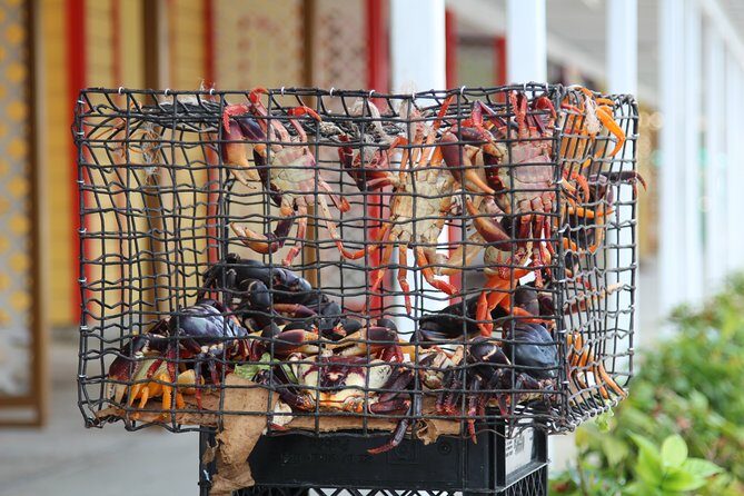 Around Town/Bahamian Cooking Experience - Why This Tour Works