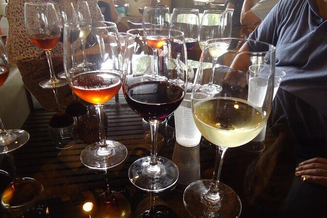 Arrabida and Bacalhoa Wine Tasting Private Tour from Lisbon - An In-Depth Look at the Experience