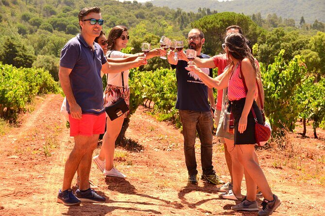 Arrabida and Sesimbra Small-Group Day Trip from Lisbon with Wine Tasting - Practical Details and Value