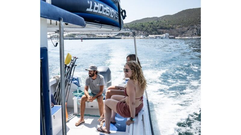 Arrábida: Boat tour along the heart of Sesimbra - A Personal Look at the Arrábida Boat Tour