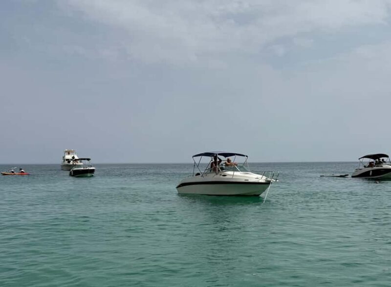 Arrábida - Fantastic dolphin tour - Key Points