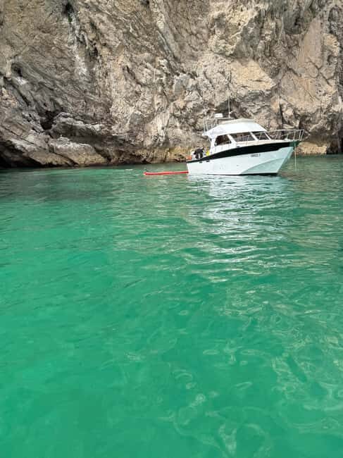 Arrábida - Fantastic dolphin tour - An In-Depth Look at the Arrábida Dolphin Tour