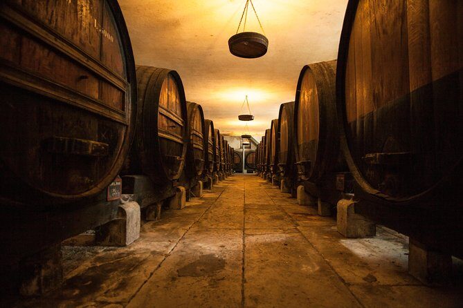 Arrabida Full Day Private Tour with Wine Tasting - A Deep Dive into the Experience