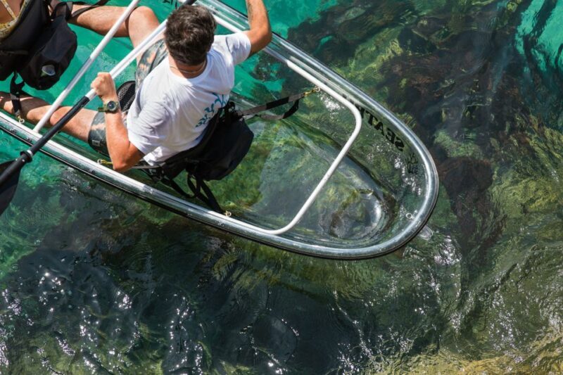 Arrábida: Guided Transparent Kayaking Tour - An In-Depth Look at the Arrábida Kayaking Experience