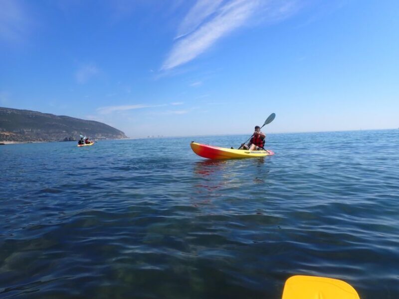 Arrábida Kayak Tour - Authentic Feedback from Past Travelers