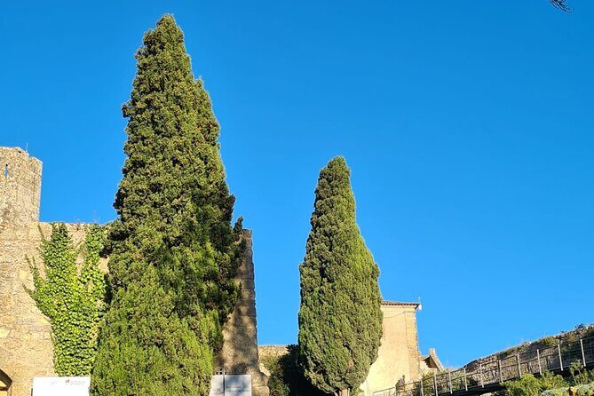 Arrábida: Private Setubal Highlights Tour (Full Day) - Authentic Experiences and Hidden Gems