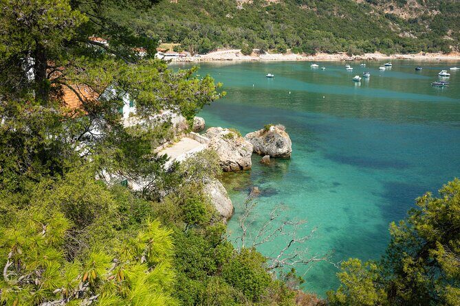 Arrábida: Private Setubal Highlights Tour (Full Day) - Who Is This Tour Best For?