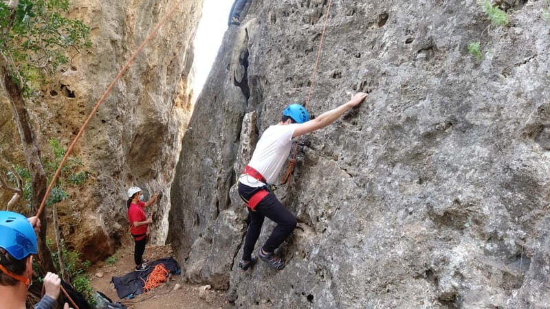 Arrábida: Rock Climbing Experience - Key Points