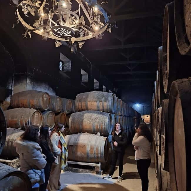 Arrábida - Sesimbra: Jeep Tour and Wine Tasting at Azeitão - Practical Details and Tips
