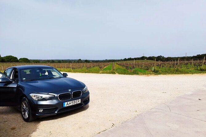 Arrábida & Setúbal Wine Tour: Food & All-Inclusive from Lisbon - Discover Portugal’s Hidden Wine and Coastal Gems on a Full-Day Tour from Lisbon