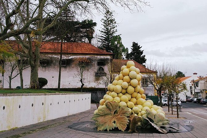 Arrábida tour with wine tasting - Who Will Love This Tour?