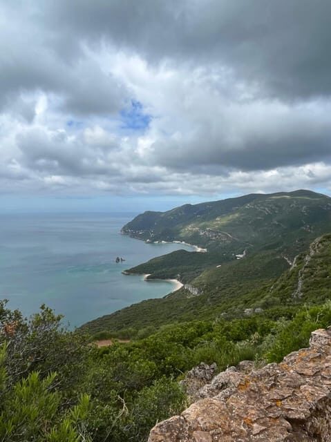 Arrábida: Wine Tour & Tastings Day Tour (Private) - Key Points