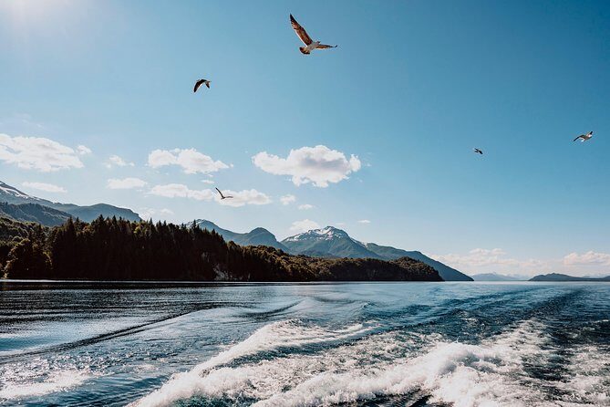 Arrayanes Forest with Victoria Island - Introduction: What’s in Store?