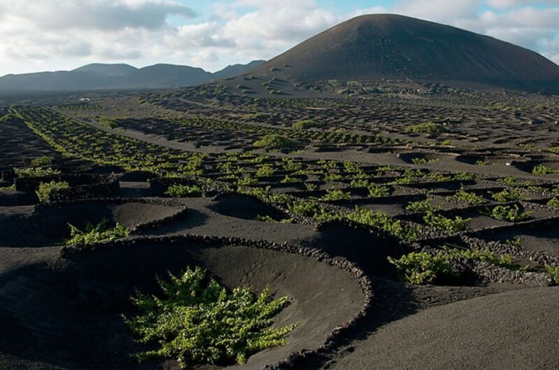Arrecife/Playa Blanca: Timanfaya National Park Area Day Tour - Experience Lanzarote’s Volcanoes and Wondrous Landscapes in a Day
