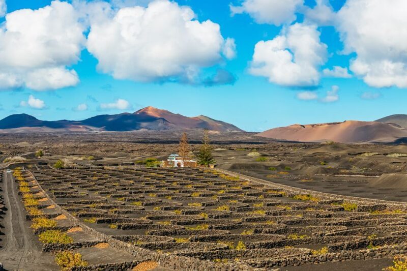 Arrecife: Timanfaya and Green Lagoon for Cruise Passengers - Discover Lanzarote’s Volcanic Landscape and More