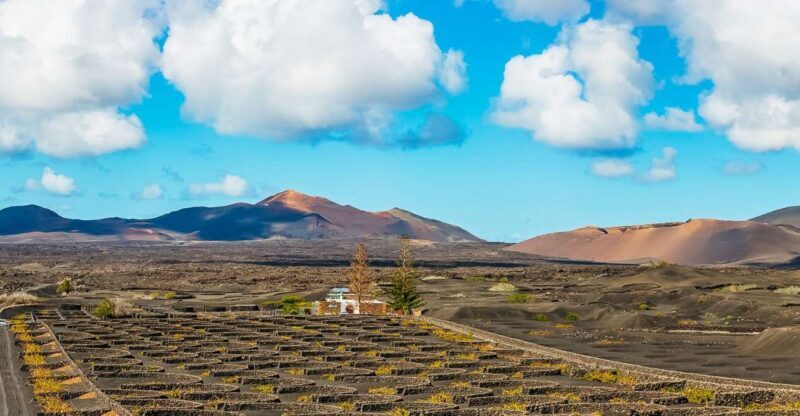 Arrecife: Timanfaya and Green Lagoon for Cruise Passengers - Authentic Experiences and Practical Tips