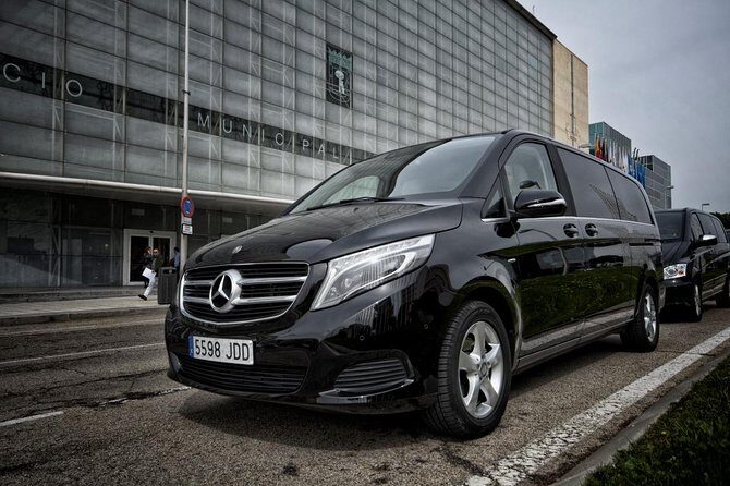 Arrival by Van from Málaga airport AGP to Marbella city - Who Should Book This Transfer?
