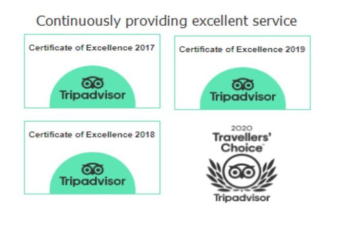Arrival / Departure Private Transfer Heathrow Airport to Southampton Cruise Port - In-Depth Review: Why Choose This Transfer?