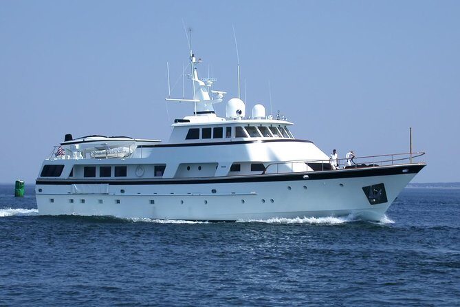 Arrival / Departure Private Transfer Heathrow Airport to Southampton Cruise Port - Practical Tips for Travelers