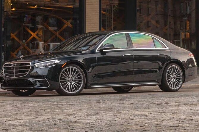 Arrival Private Transfer: Auckland Airport AKL to Auckland City by Luxury Car - Starting Your Journey with Style and Ease