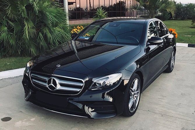 Arrival Private Transfer from Auckland Airport AKL to Auckland in Business Car - Key Points