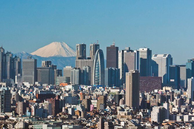 Arrival Private Transfer: Haneda Airport HND to Tokyo in Sedan - The Sum Up