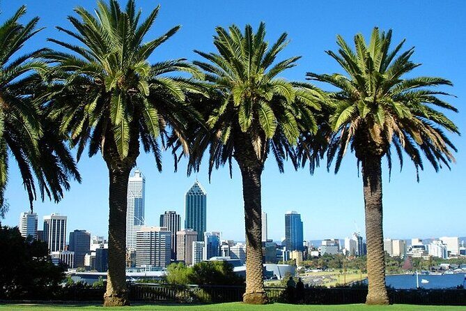 Arrival Private Transfer: Perth Airport PER to Perth City in Business Car - A detailed look at the Perth Airport Private Transfer